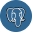 PostgreSQL